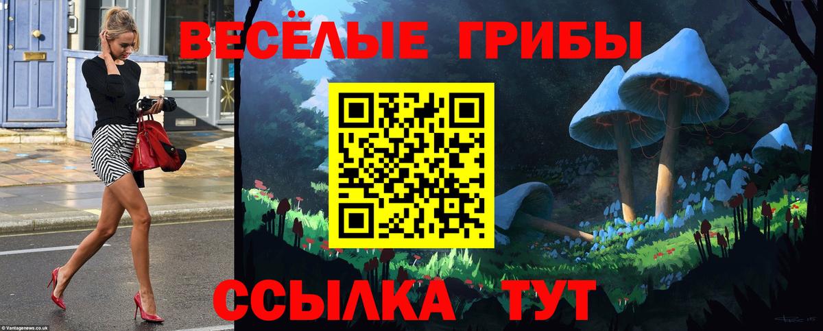 Псилоцибиновые грибы мицелий Сухой Лог