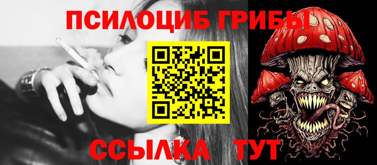 Сухой Лог  Псилоцибиновые грибы Cubensis  Вход с VPN 