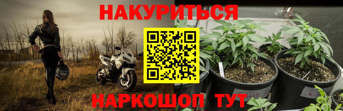 Марихуана MAZAR Сухой Лог